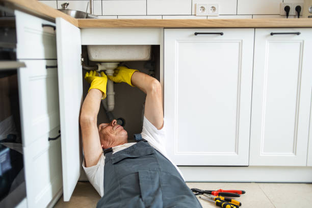 Best Local Plumber Services  in Nicholls, GA